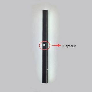 Nazen Applique Murale Extérieur LED Étanche Minimaliste Métal Cour-Luire