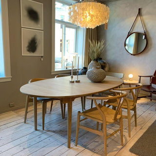 Lustra Suspension Lampe Anneau Rond en Coquillage