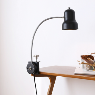 Flex Clamp Task Lamp-Neutral Decor