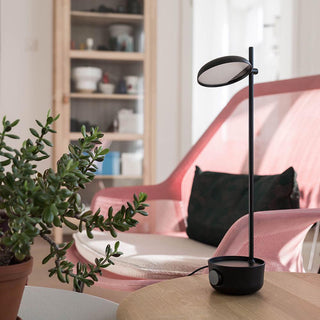 Xylore Lampe de Table Contemporaine