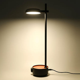 Xylore Lampe de Table Contemporaine