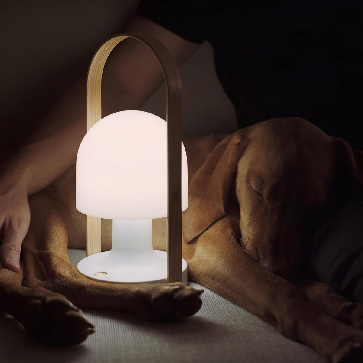 Elaanelle Lampe de Table