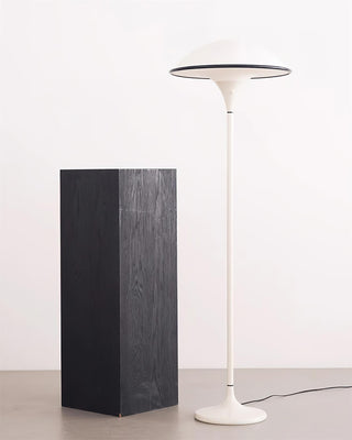 Lucoria Lampadaire en Acrylique Rétro