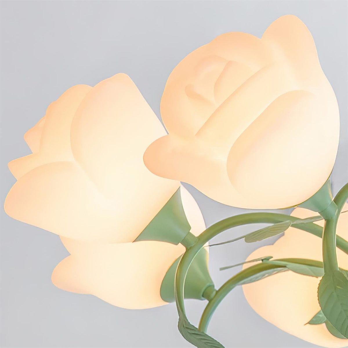 Revo Lustre