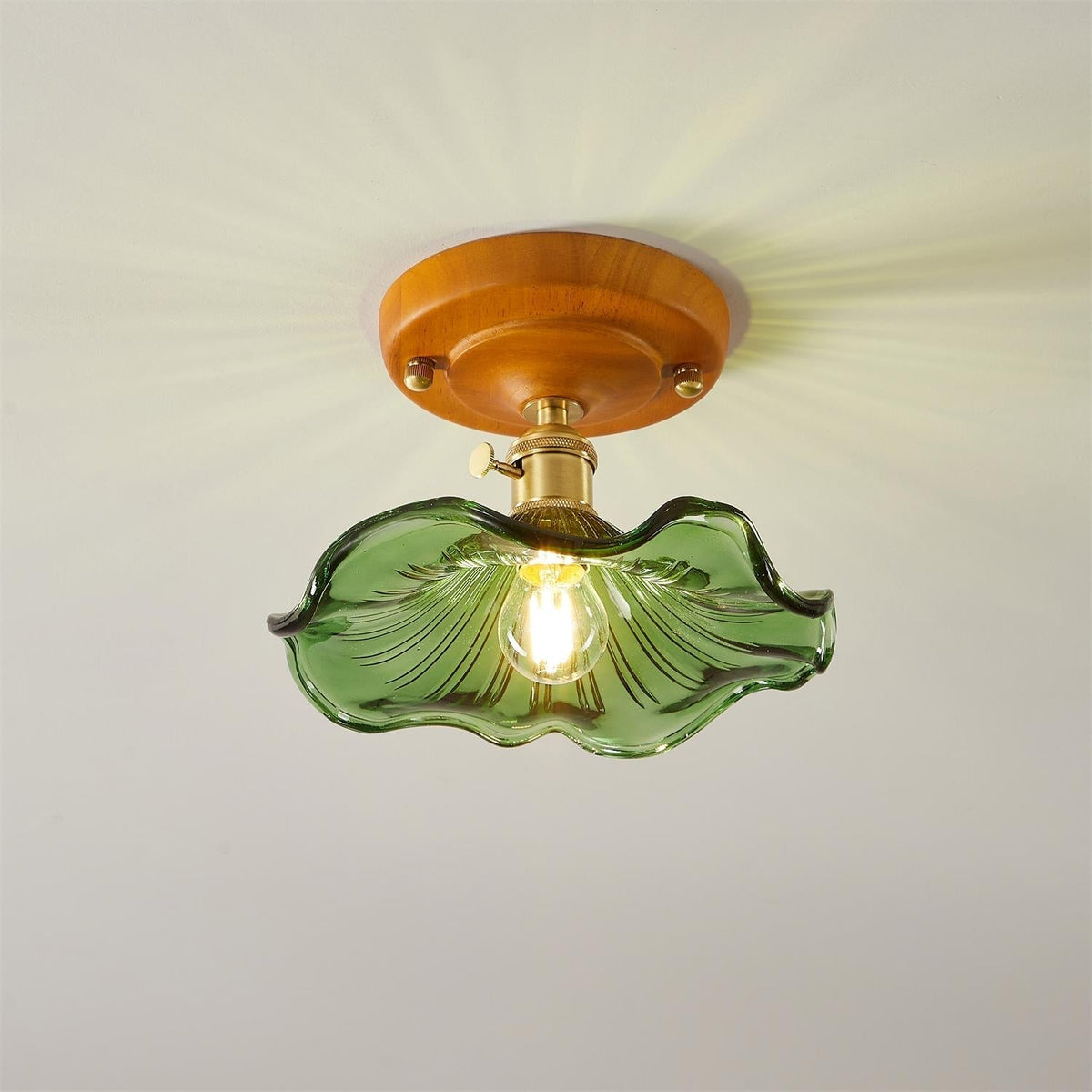 Ceiling Light Wood Canopy Brass & Glass Shade Vintage Floral Farmhouse-Neutral Decor