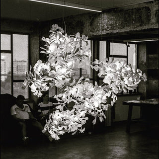 Olivia Céramique Gingko Feuille Lustre