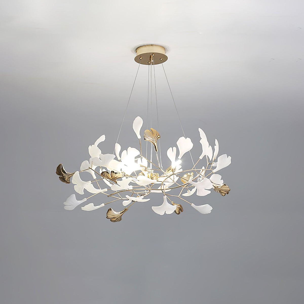 Renilia Lustre Céramique Gingko 3 Styles