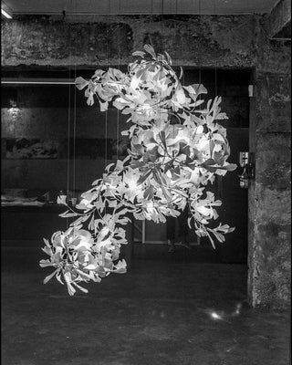 Gingko Chandelier F-Neutral Decor