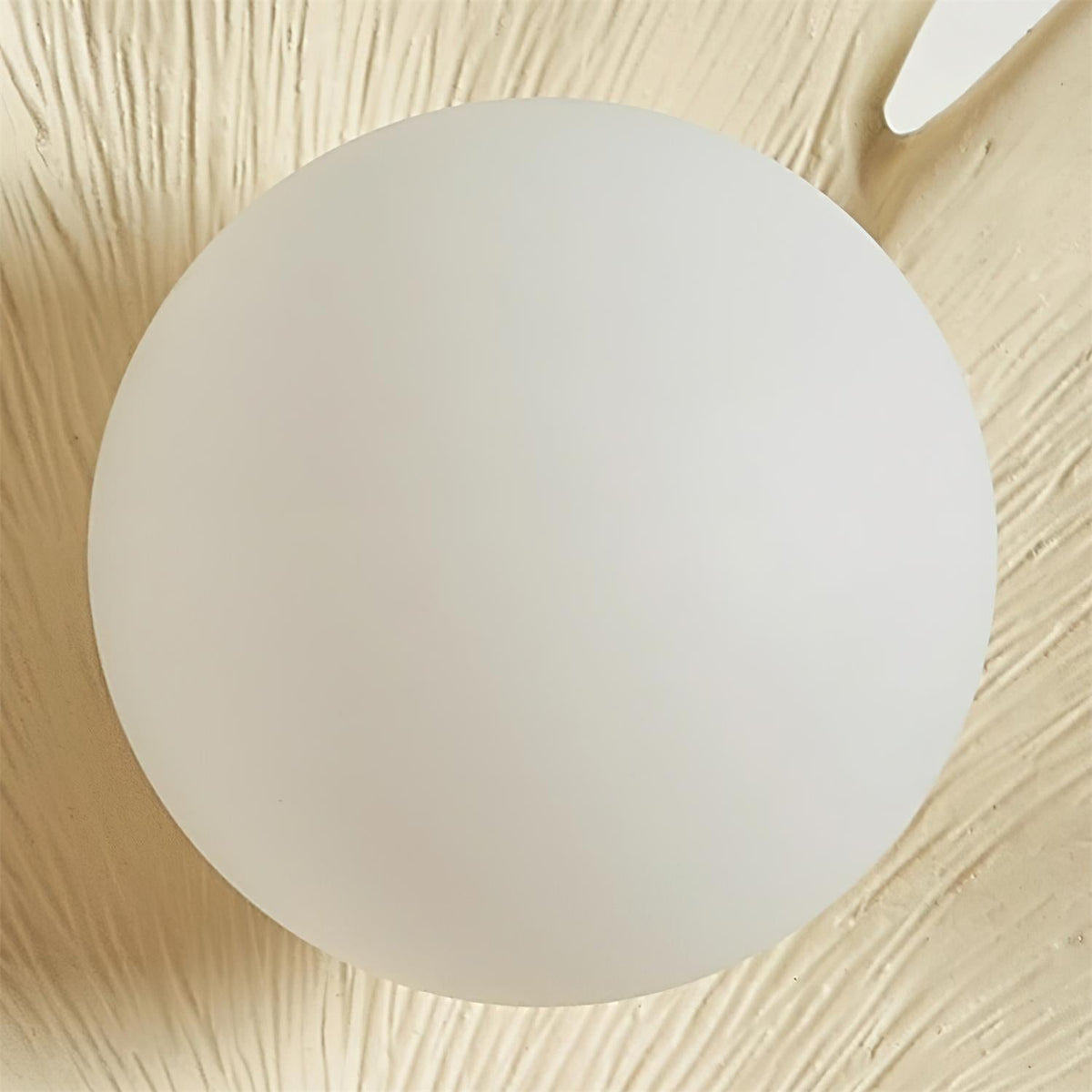 Olivia Ginkgo Leaf Shape Wall Lamp-Neutral Decor