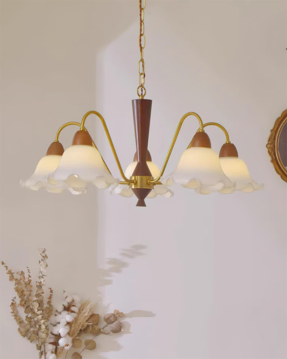Soreella Lustre