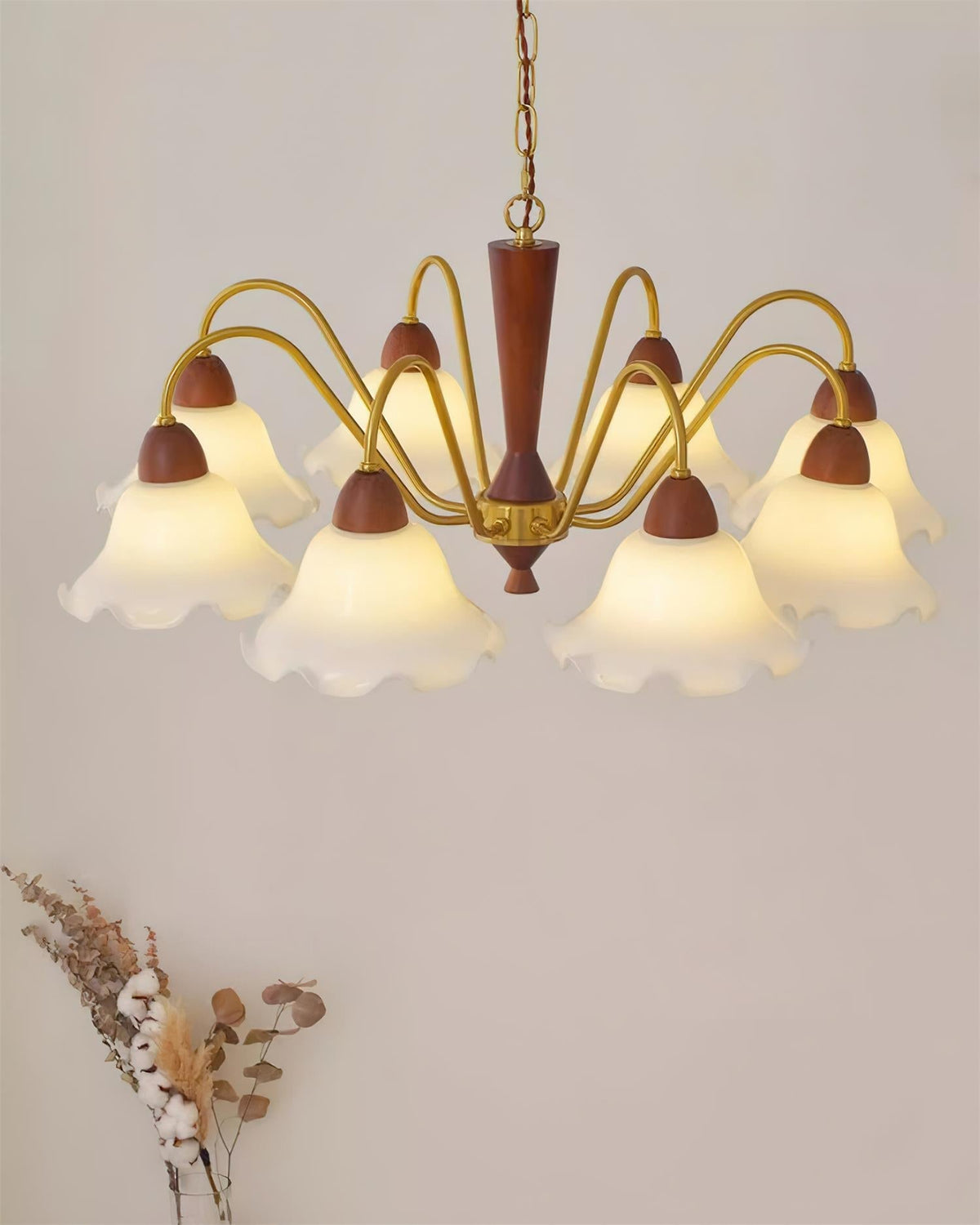 Soreella Lustre