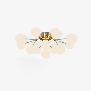 Luxury Bulbe en Verre. Luminaire de Plafond.