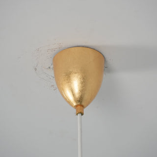 Velorelia Suspension