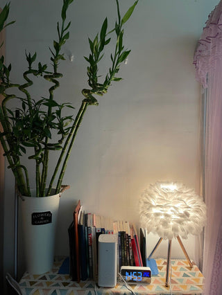 Nilo Lampe de Table Plume Féminine