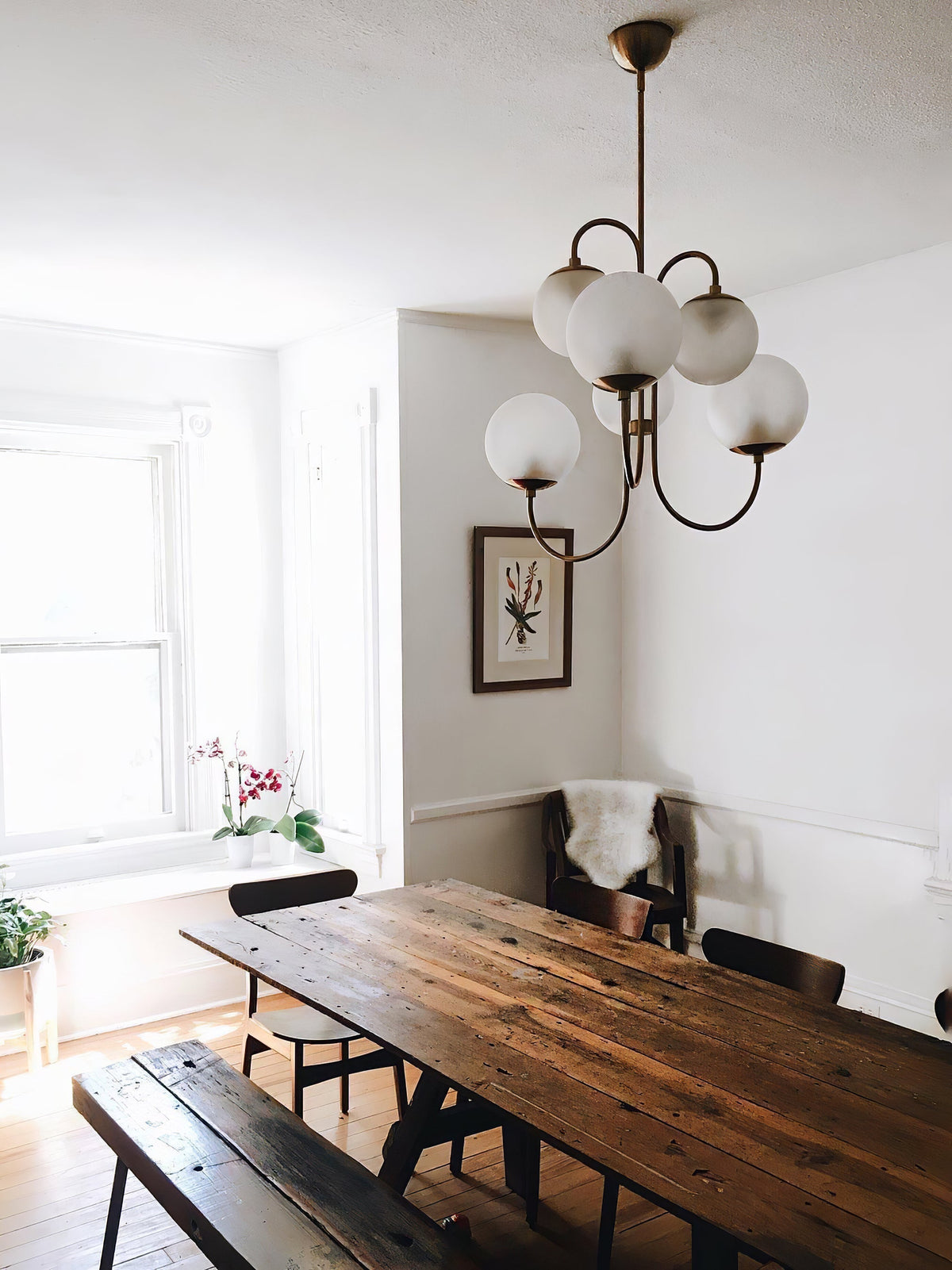 Tavelle Lustre en Laiton avec Globe et Bras Courbés