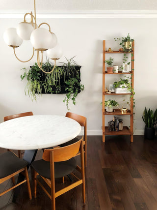 Lustra Lustre en Laiton avec Globe et Bras Courbés