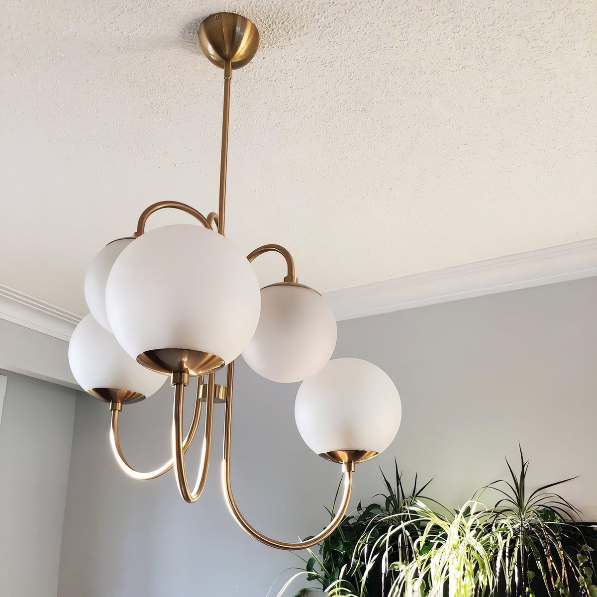 Tavelle Lustre en Laiton avec Globe et Bras Courbés