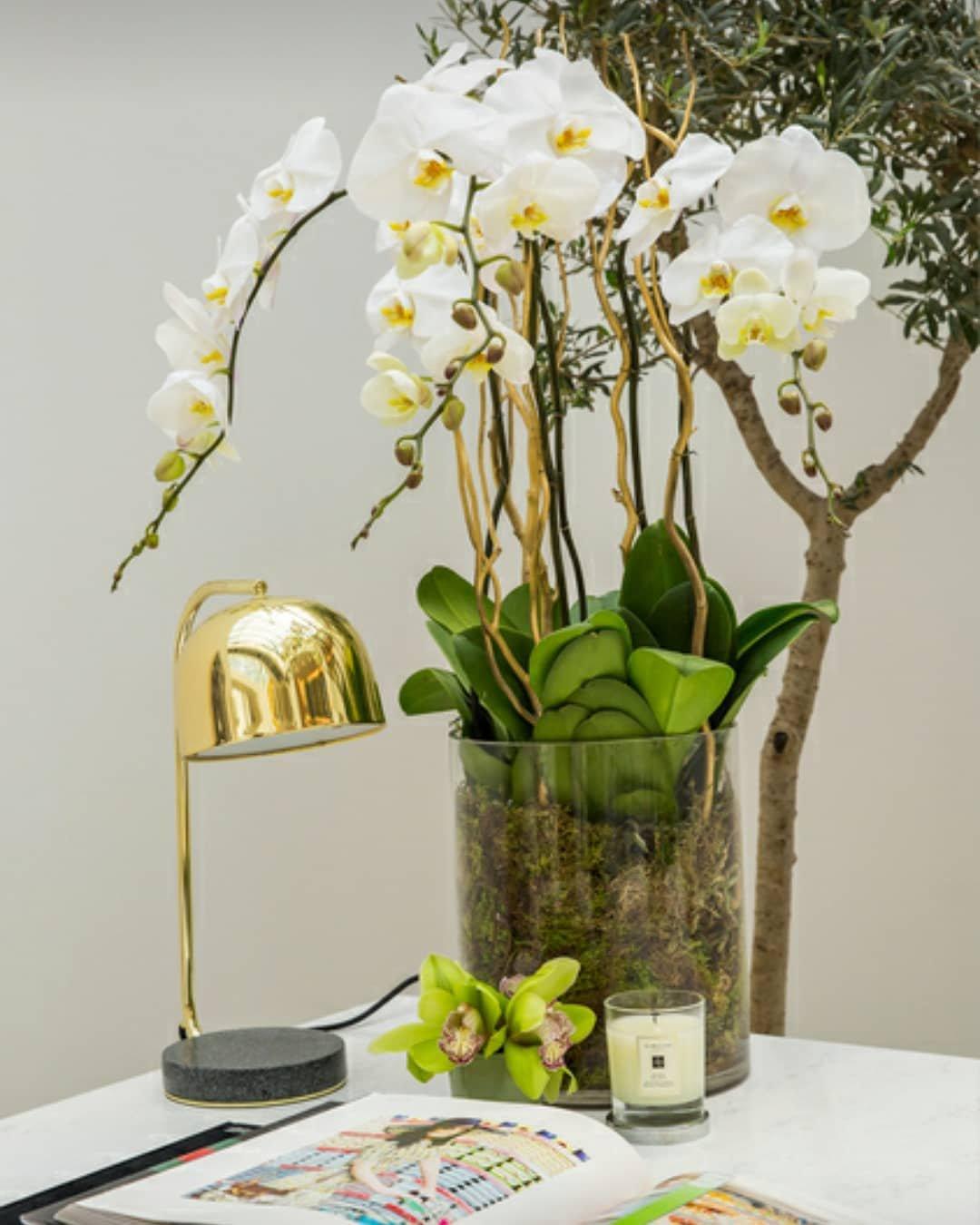 Noroora Lampe de Table Minimaliste