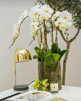Noroora Lampe de Table Minimaliste
