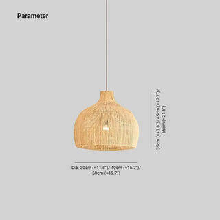 Ritta Vintage Artisanal Rotin Suspension Salon