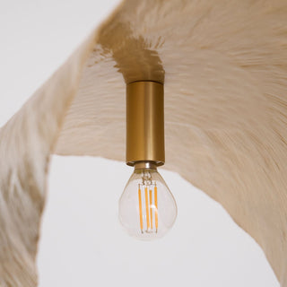 Solere Suspension Minimaliste-Luire