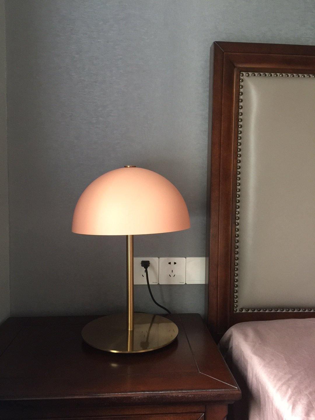 Brioth Lampe de Table en Acrylique Scandinave
