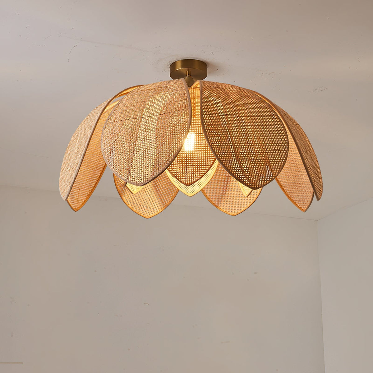The small Hanove Ceiling Light installed in a bright entryway.