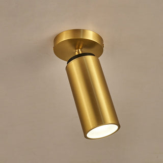 Syloran Plafonnier en Laiton Moderne Minimaliste-Luire