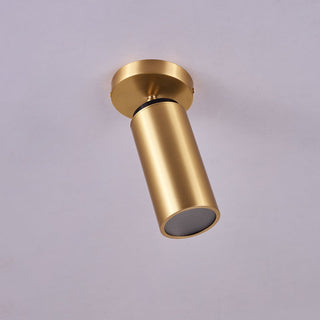 Syloran Plafonnier en Laiton Moderne Minimaliste-Luire