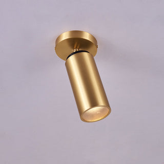 Syloran Plafonnier en Laiton Moderne Minimaliste-Luire