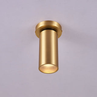 Syloran Plafonnier en Laiton Moderne Minimaliste-Luire