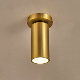 Syloran Plafonnier en Laiton Moderne Minimaliste-Luire