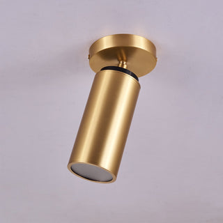 Syloran Plafonnier en Laiton Moderne Minimaliste-Luire