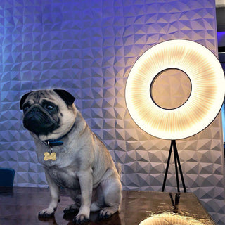 Helen Modern Floor Lamp-Neutral Decor