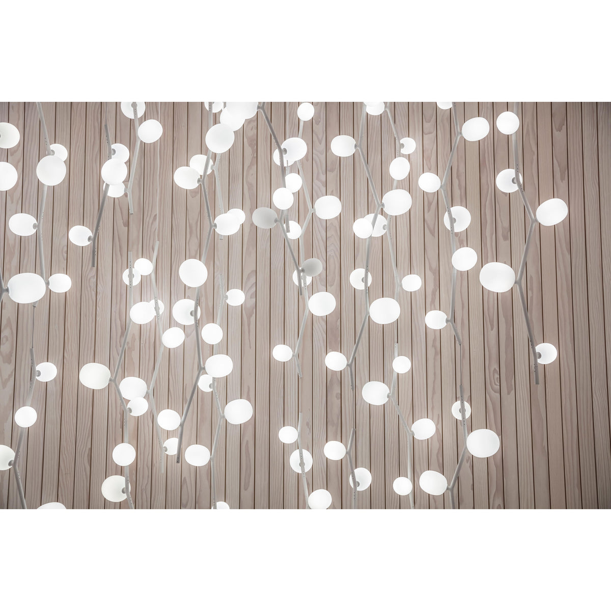 Isolora Suspension Verticale Verre Moderne