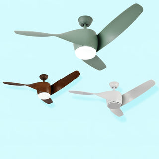 Liororeon Ventilateur de plafond lumineux