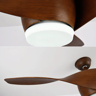 Liororeon Ventilateur de plafond lumineux