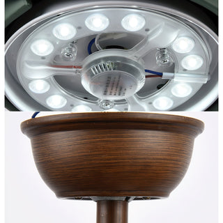 Liororeon Ventilateur de plafond lumineux