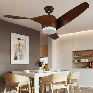 Liororeon Ventilateur de plafond lumineux