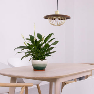 Elanora Suspension Rétro Vintage en Bois