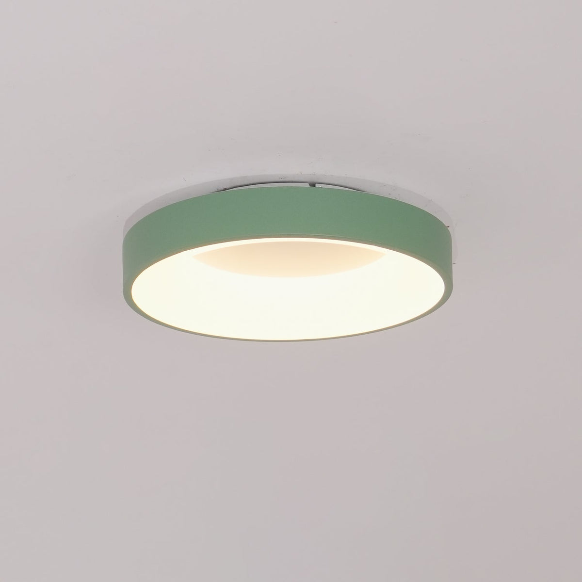 Gaviora Plafonnier en fer contemporain abat-jour vert