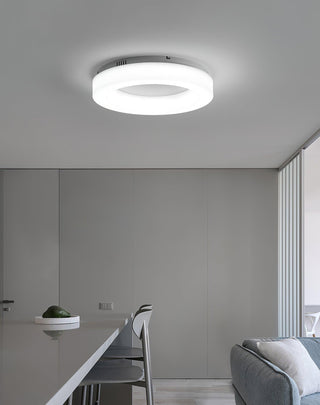 Erraeiel Lampe Plafonnier Artistique Moderne Minimaliste