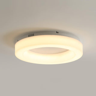 Erraeiel Lampe Plafonnier Artistique Moderne Minimaliste