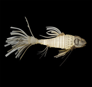 Lustra Lustre Bois Poisson Artisanal