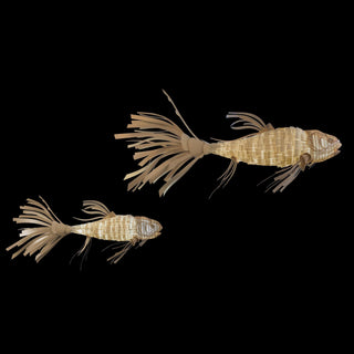 Lustra Lustre Bois Poisson Artisanal