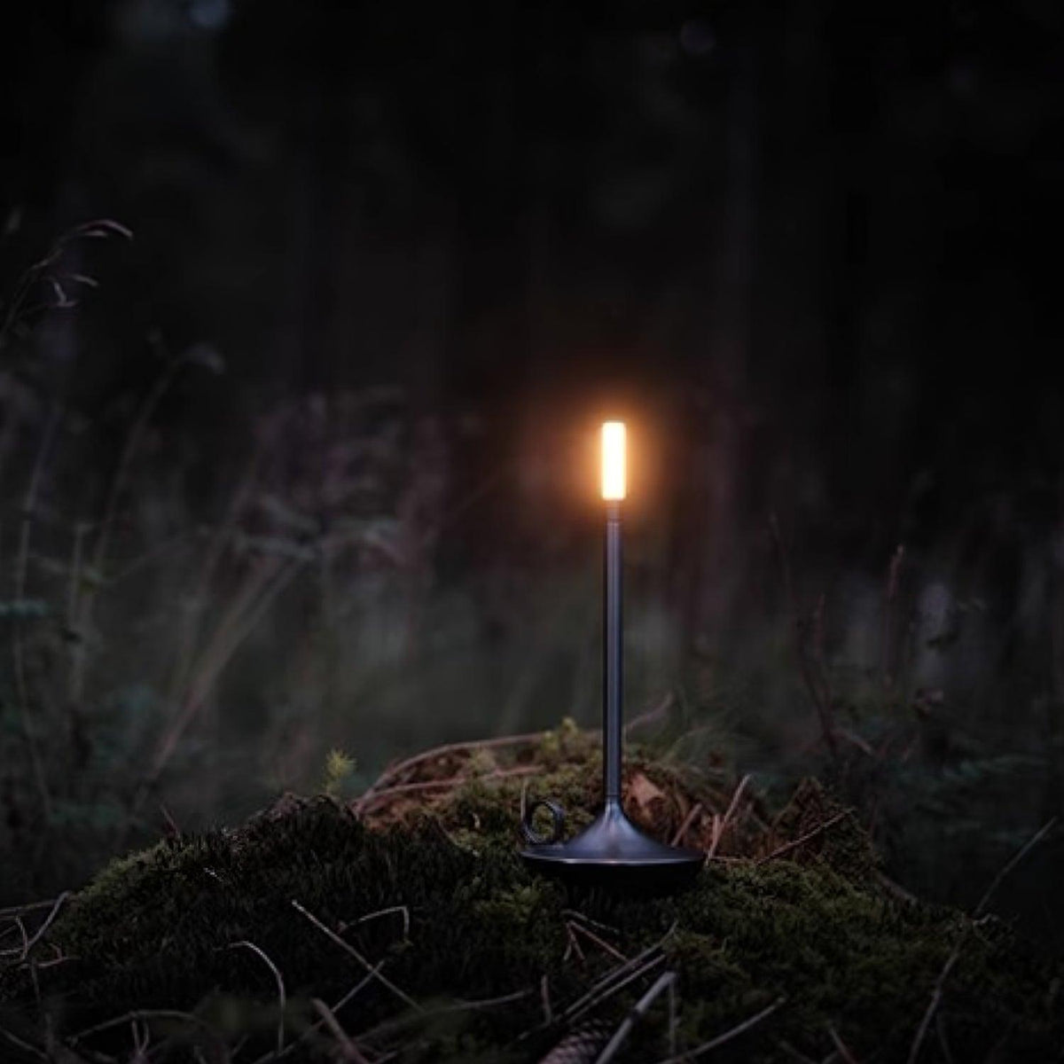 Latin Lampe de Table