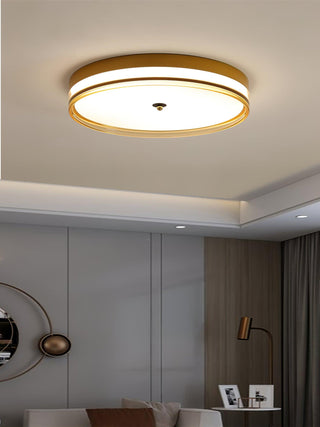 Usolira Plafonnier Minimaliste Moderne