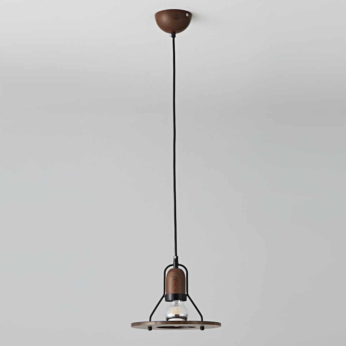 The Lioren Pendant Lamp shown against a dark background to highlight its form.