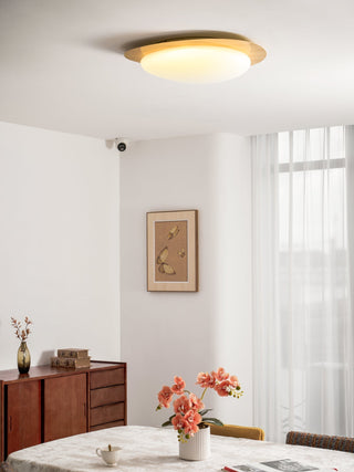 Solara Plafonnier Galet en Noyer Acrylique LED
