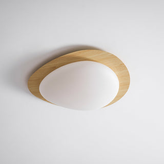 Solara Plafonnier Galet en Noyer Acrylique LED